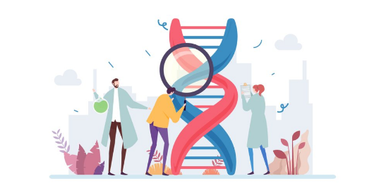 Unlocking the Potential of Risk-Based Quality Management